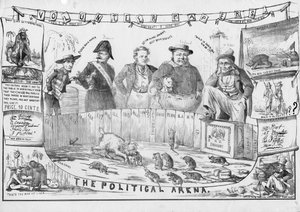 Die politische Arena