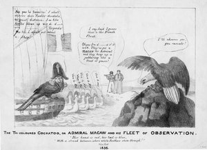 Der dreifarbige Kakadu, oder, Admiral Macaw und seine Beobachtungsflotte, 1836 von American School