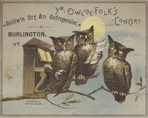 Drei singende Eulen (Chromolithografie) von American School