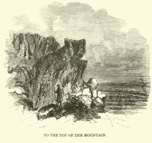 Zum Gipfel des Berges, November 1863 von American School