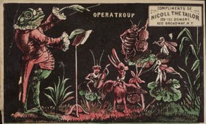 Kröte dirigiert Insektenband