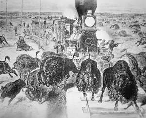Zugpassagiere auf der Kansas Pacific Railroad, die in den 1870er Jahren Büffel zum Sport schießen von American School
