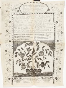 Unbekanntes Bild von American School