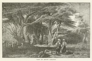 Blick auf den Libanon von American School