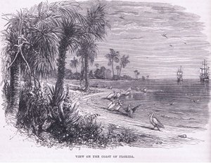 Ansicht der Küste von Florida, Illustration aus Cassell