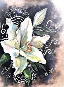 Elegante Weiße Lilienblüte