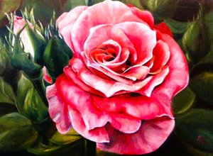 Lebhafte rosa Rosenblüte von Anda Bieza
