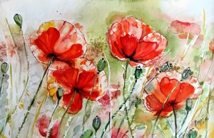 Lebendige Aquarell-Mohnblumen von Anda Bieza