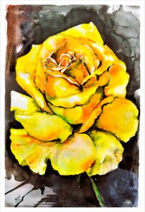 Vibrante gelbe Rose
