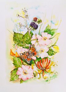 Wildblumen-Schmetterlingsgarten von Anda Bieza
