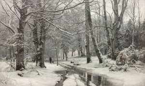Tauwetter in einem Buchenwald von Anders Andersen Lundby