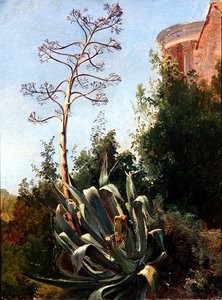 Landschaft; Süditalien von Anders Christian Lunde