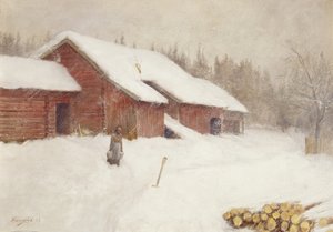Schneeverwehung von Anders Kongsrud