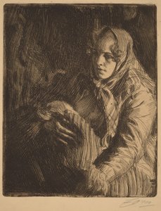 Madonna von Anders Zorn