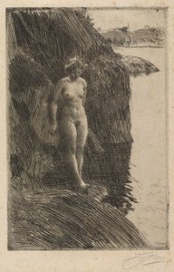 Abgrund von Anders Zorn