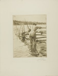 Der Zaun