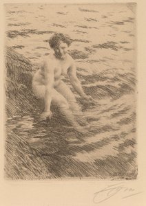 Nass von Anders Leonard Zorn
