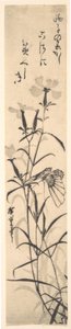 Schwarz-Weiß-Druck von Schmetterling und Blume einer Nelke von Ando Hiroshige