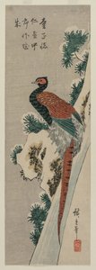 Kupferfasan am verschneiten Wasserfall, späte 1830er oder frühe 1840er Jahre von Ando Hiroshige