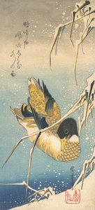 Stockente und schneebedeckte Schilfrohre, ca. 1832 von Ando Hiroshige
