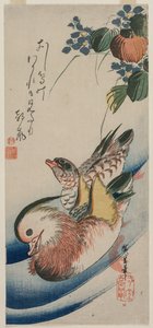 Mandarinenten und blühende Pflanzen, frühe oder mittlere 1830er Jahre von Ando Hiroshige