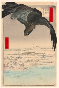 Ebene bei Suzaki Fukagawa (Fukagaw Susaki, Juman-tsubo) aus der Serie Einhundert Ansichten von Edo