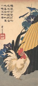 Hahn, Regenschirm und Prunkwinden, ca. 1830 von Ando Hiroshige