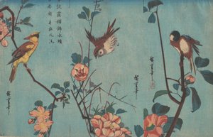 Meise und Kamelien rechts, Spatz und Wildrosen in der Mitte, und Schwarzrückenpirol..., ca. 1833. von Ando Hiroshige