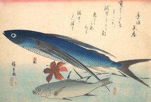 Tobiuo und Ishimochi-Fisch, aus der Serie Uozukushi Jede Fischart von Ando Hiroshige