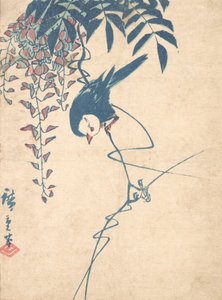Blauregen und Weißkopf-Vogel von Ando Hiroshige