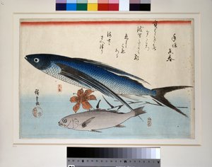 Fliegender Fisch, Ishimochi-Fisch und Lilie von Ando or Utagawa Hiroshige