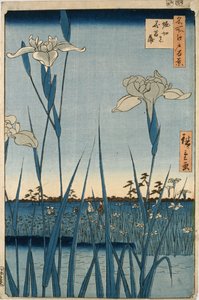 Horikiri-Irisgarten