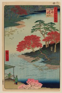 Innerhalb des Akiba-Schreins, Ukeji von Ando or Utagawa Hiroshige