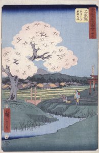 Ishiyakushi