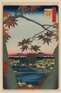 Ahornbäume bei Mama, Tekona-Schrein und verbundene Brücke von Ando or Utagawa Hiroshige
