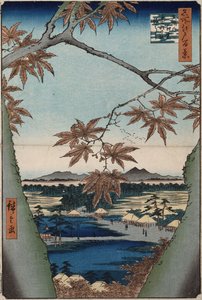 Ahornblätter und der Tekona-Schrein und die Brücke bei Mama, aus der Serie "Hundert Ansichten berühmter Orte in Edo" von Ando or Utagawa Hiroshige