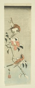 Spatzen und Kamelie im Schnee von Ando or Utagawa Hiroshige