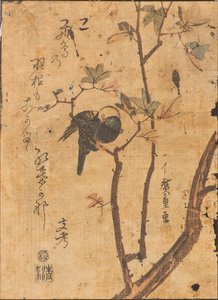 Studie eines schlafenden Vogels auf einem Ast von Ando or Utagawa Hiroshige