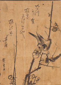 Studie eines Vogels auf einem Ast von Ando or Utagawa Hiroshige