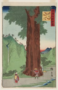 Die Yatate-Zeder in der Provinz Kai von Ando or Utagawa Hiroshige