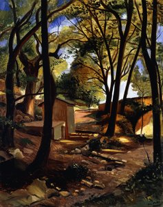 Der Brunnen von Olieres
