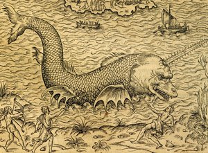 Seemonster, Gravur aus der Universal Cosmology, von Andre Thevet, Paris