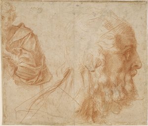 Ein Jüngling und der Kopf eines alten Mannes Homer. Studie, ca. 1521