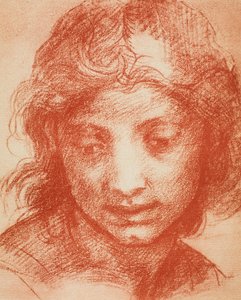 Jungenkopf von Andrea del Sarto