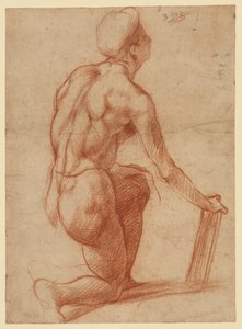  von Andrea del Sarto