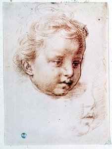 Studie eines Kinderkopfes von Andrea del Sarto
