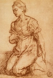 Studie einer Frau von Andrea del Sarto