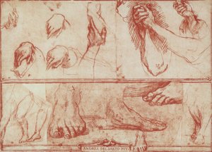 Studie von Händen und Füßen für das Letzte Abendmahl von San Salvi von Andrea del Sarto