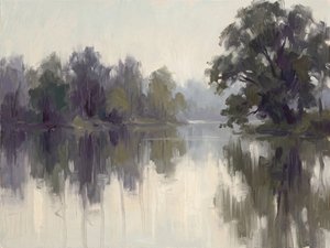 Neblige Flussspiegelungen
