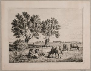 Landschaft mit grasenden Kühen